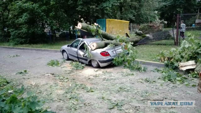 Тачки разбитые ураганом в Минске сегодня. Оригинальные отборные фото!