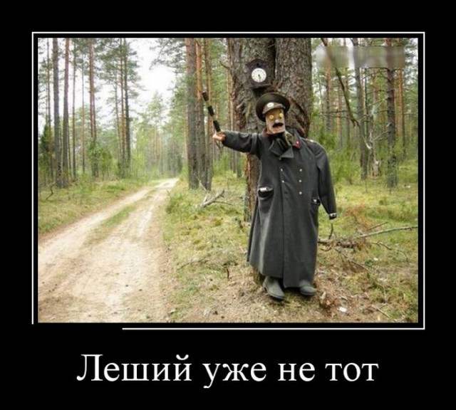 Картинки и приколы из сети