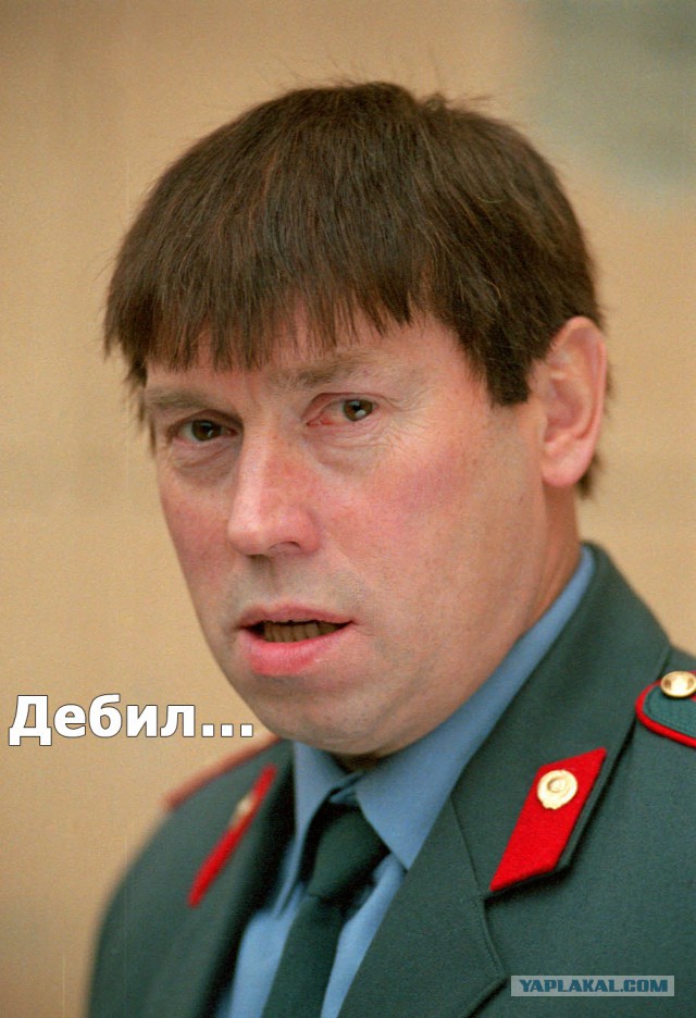 Подборка лучших страношаров за неделю