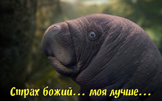 Знаменитые мужчины, прячущие своих жен. Боятся спугнуть свое счастье?