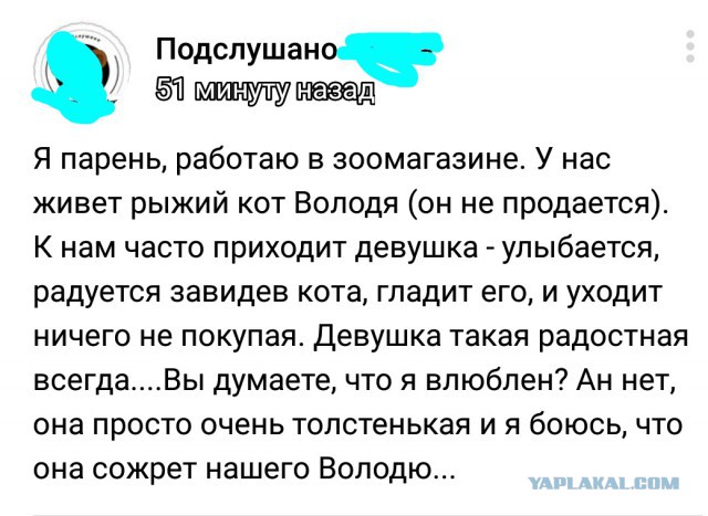 Точка бифуркации пройдена...