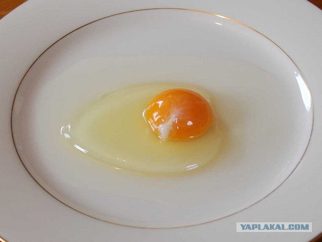 Отличие белых и коричневых куриных яиц