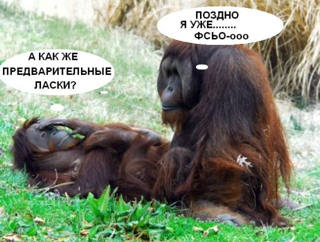 Фотокомикс: А куда ушла жена?