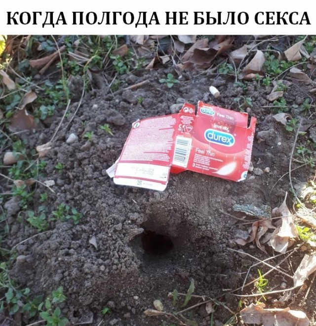 Немного картинок на сегодня