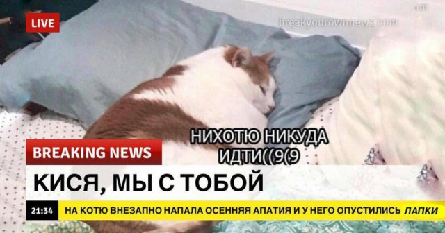 Немного картинок на сегодняшний вечер