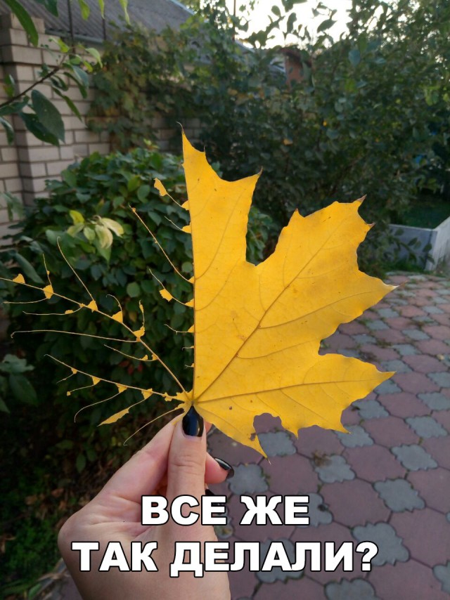 Нестандартный юмор