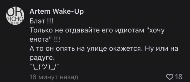 В Петербурге на ул. Звездной сидит грустный енот на заборе и мерзнет