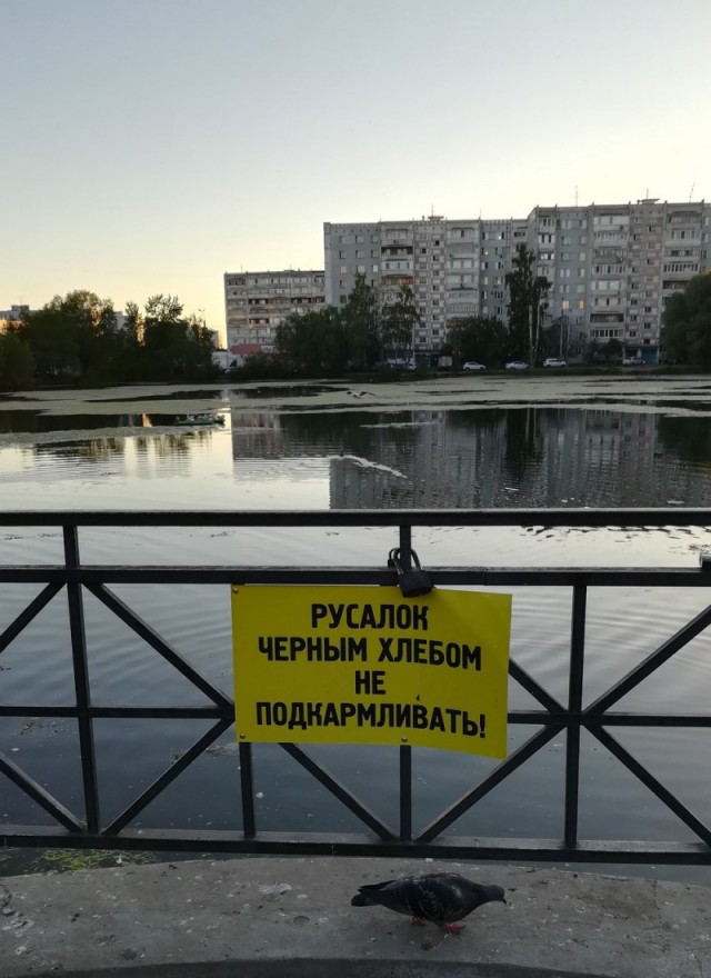 И всё-таки она наша. Лента картинок