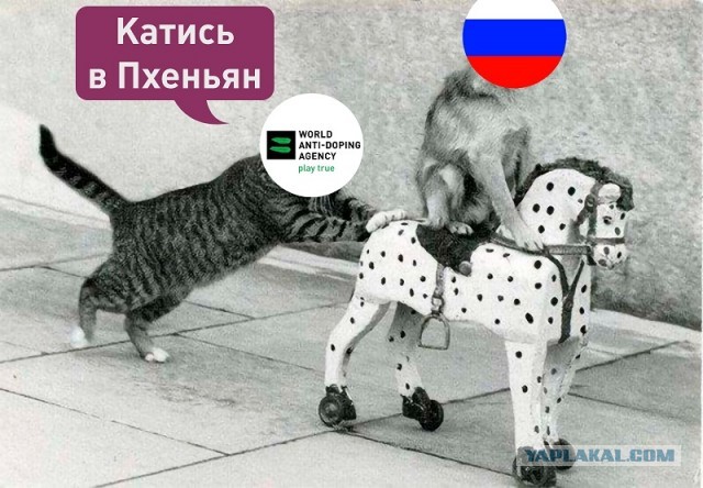 Исполком WADA лишил Россию права участвовать в крупных международных турнирах на 4 года, включая Олимпиады и чемпионаты мира