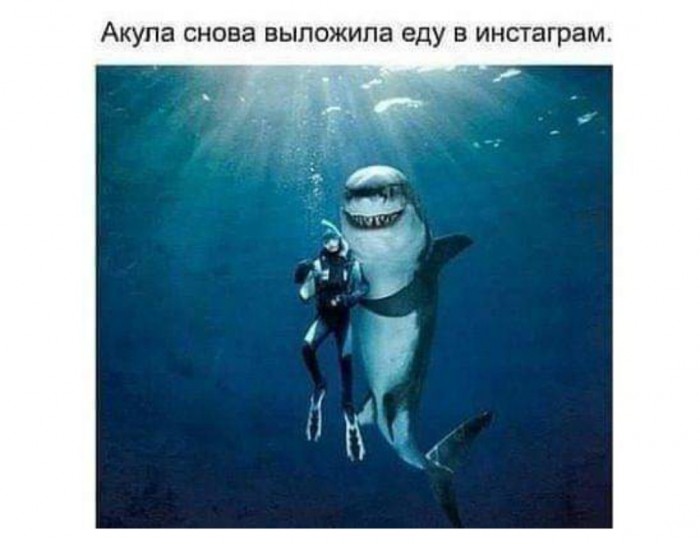 Бредзона 15.02.2020