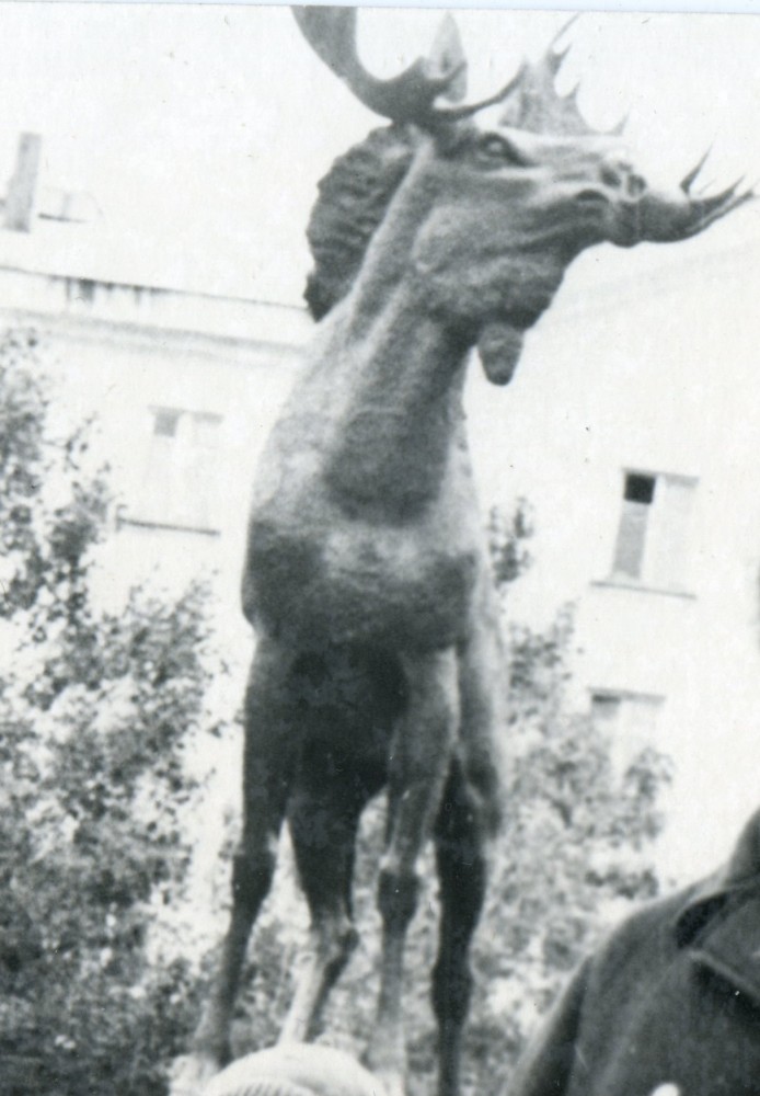 А вот кому фоток с севера?