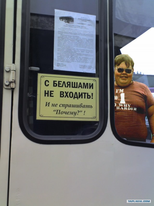 Не входить с беляшами!