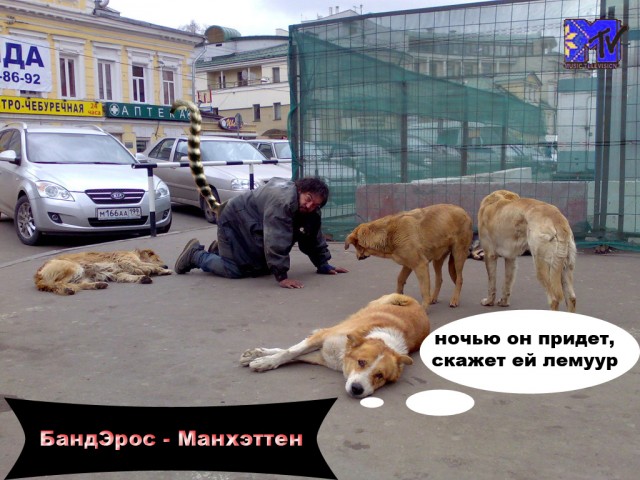 Лучший друг человека.... или наоборот!?