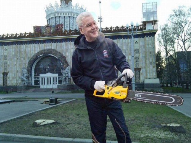 Президент Польши сажает деревья: он до этого лопату хоть в руках держал?