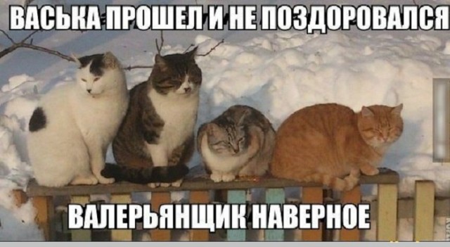 Картинки с надписями и всякие жизненные фразы 10.1.21