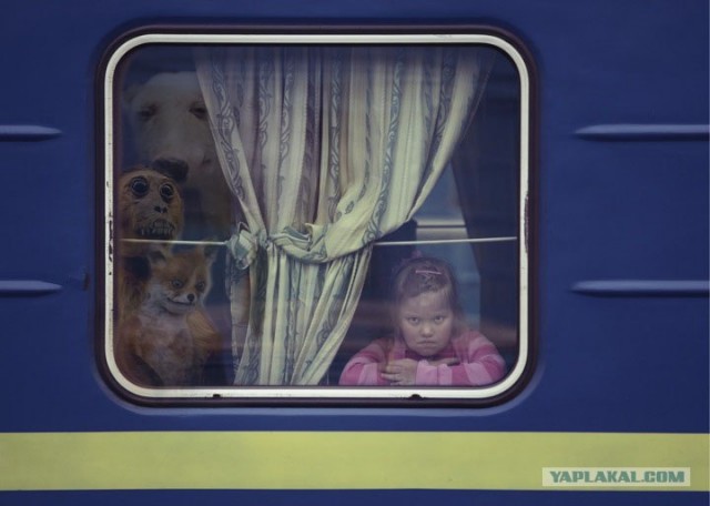 Таксидермия + наркомания