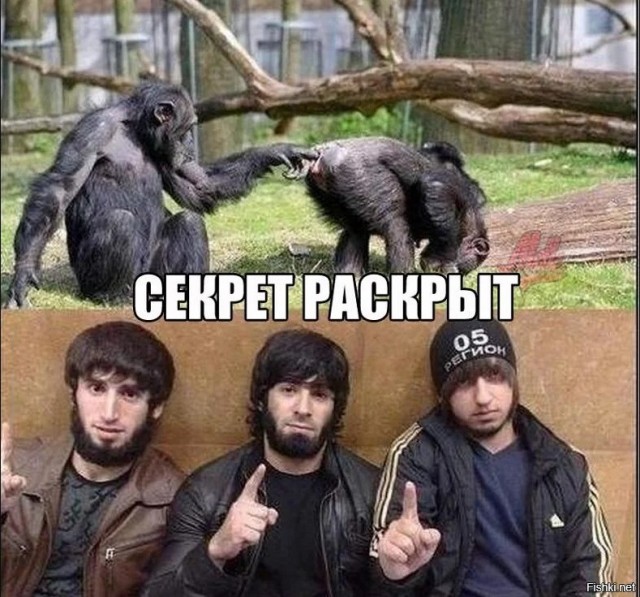 Когда агент спецслужб спешит на срочное задание по встречке!