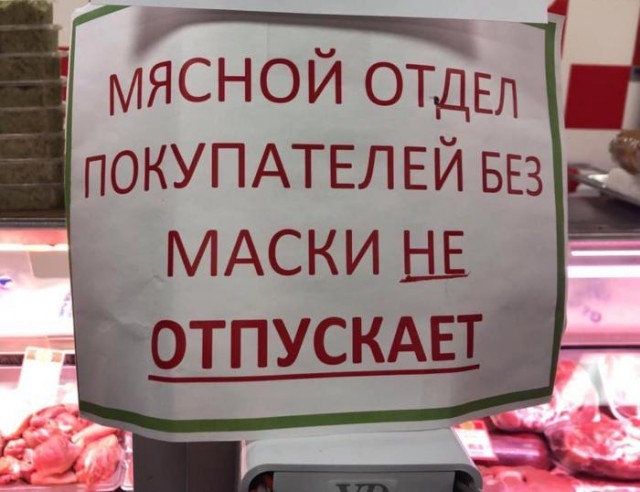 Абъяевленя и вивискы. Учителям русского языка лучше не смотреть