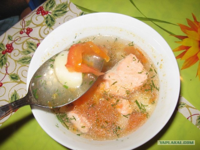 Все из рыбы!