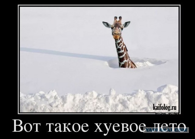 Самый холодный день в Австралии почти за 40 лет