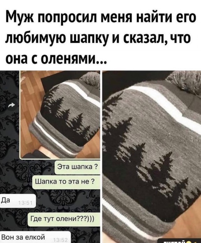 Так себе картинки 29.06.21