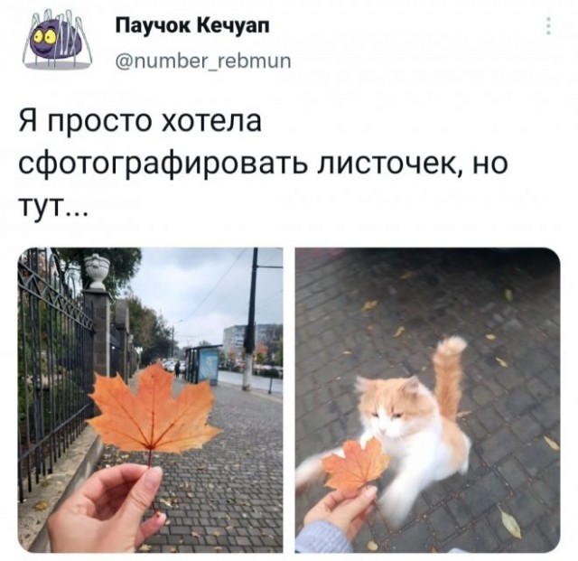 Картинки и мемы для настроения 18.10.2021