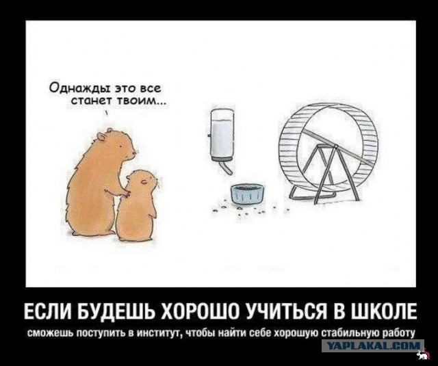 ТруЪ демотиваторы