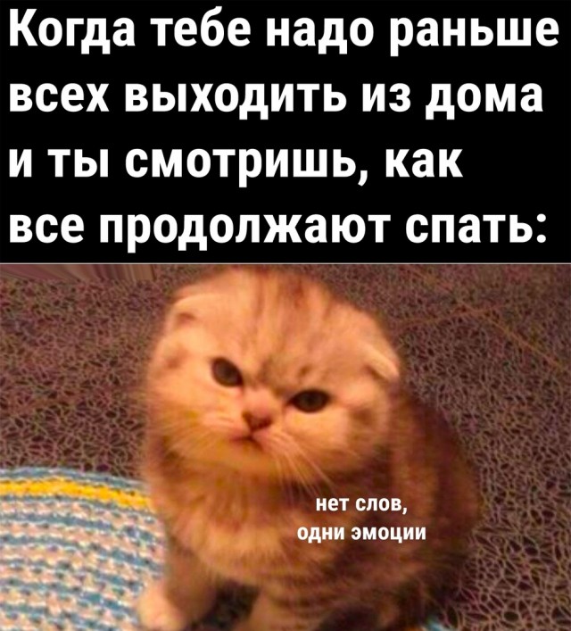 Так себе картинки 04.06.22