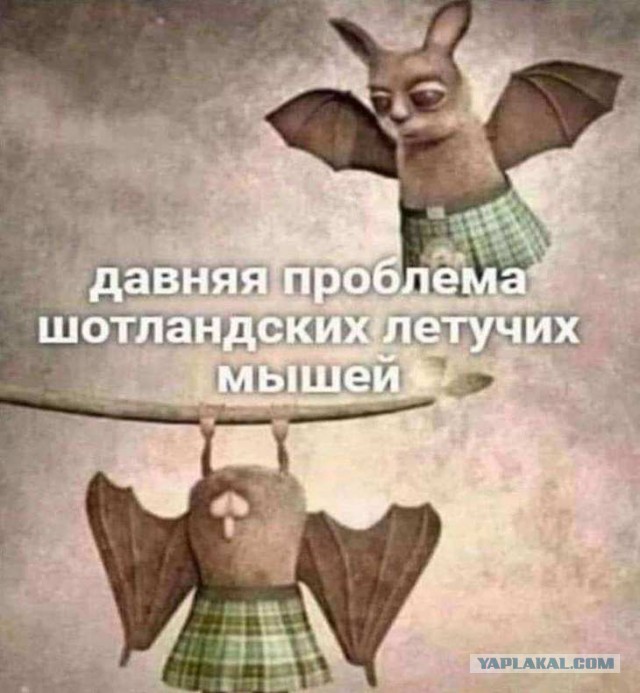 Забавные шутки, фразы, картинки из этих ваших интернетов