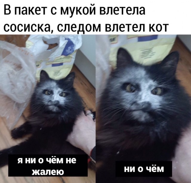 Рыжий наркоман