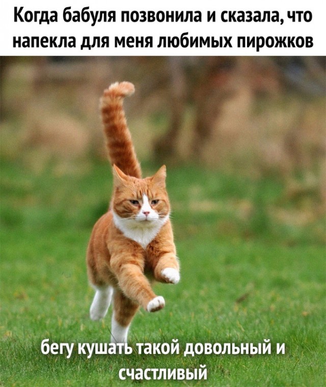 Немного картинок для настроения - 114