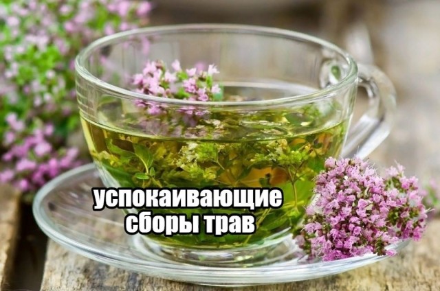 Пандемия съехавших крыш - разновидности болезни. Россия и мир. Часть 42.