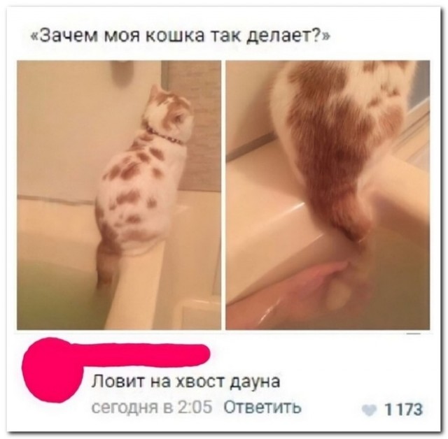 Забавные комментарии из социальных сетей (14.11.22)