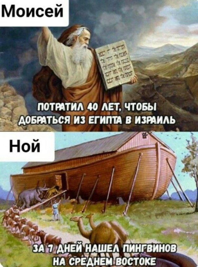 Народная меДИЧна 2012