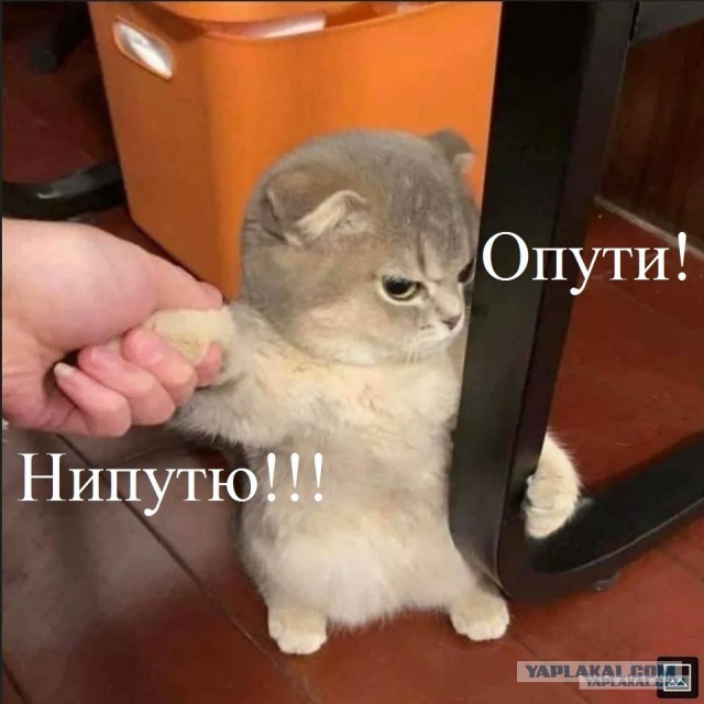 Всего понемногу. Часть 4