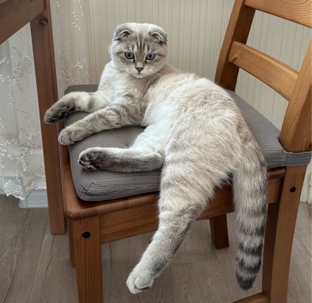 У меня в семье пополнение