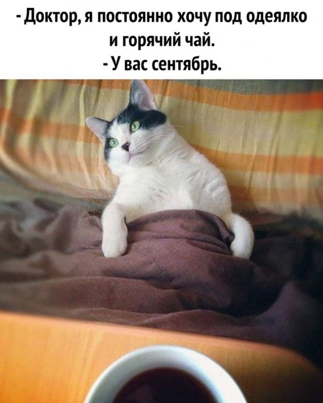 Весёлый полтишок 15.09.23