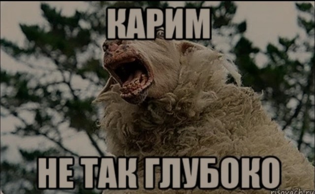 Вот оно как повернулось...⁠⁠