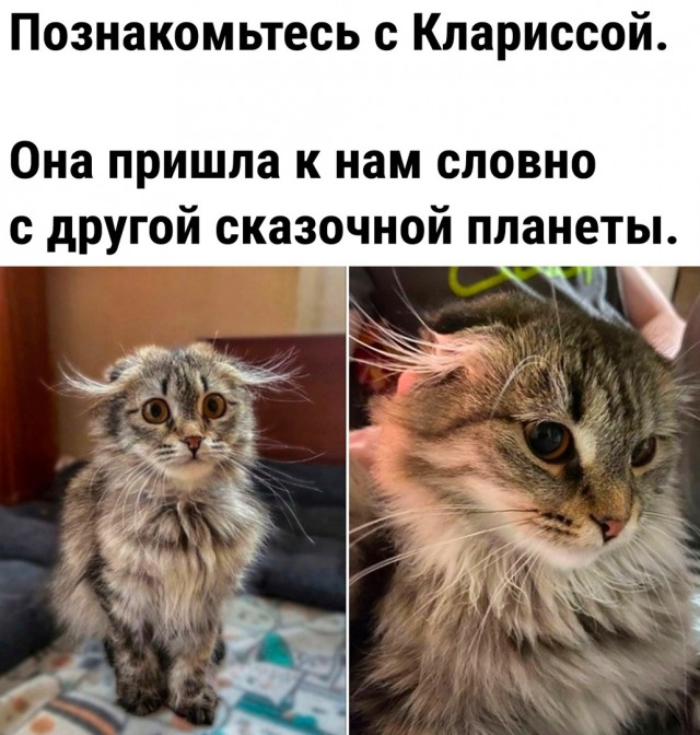 Так себе картинки 31.12.23