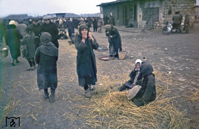 Цвет войны. Фотоподборка