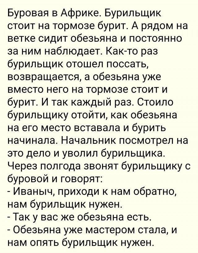 Стажер-напарник