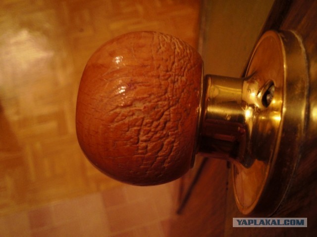 Самый крутой кот !