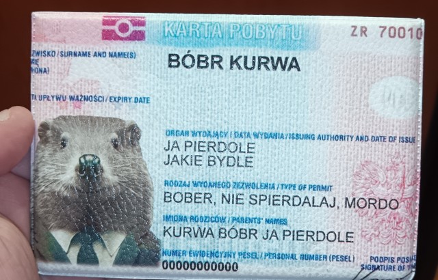 Жительница Польши приехала в Казахстан, и вот что из этого вышло