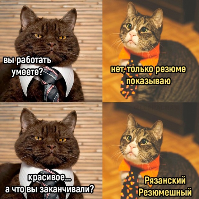 Завалялось тут случайно немного забавных картинок