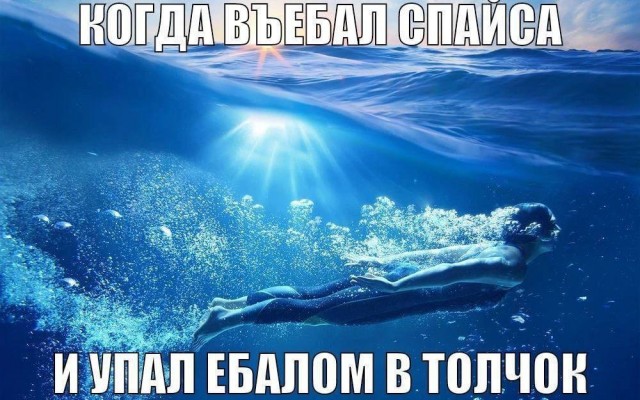 Всего понемногу. От 14.11.2024
