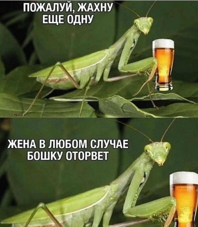 Так себе картинки