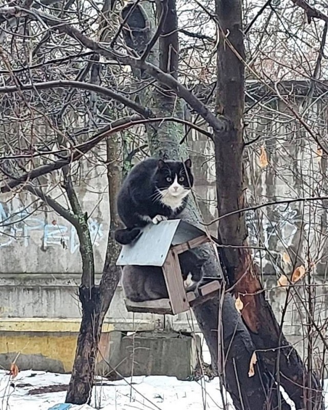 Так себе картинки 13.01.25