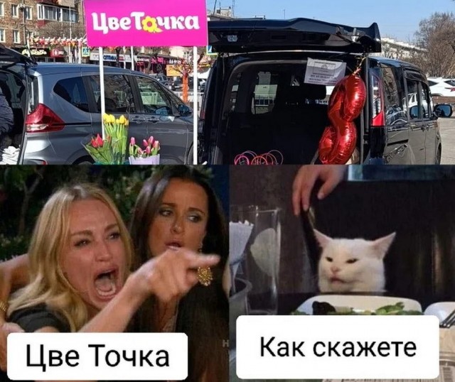 Так себе картинки 10.03.25