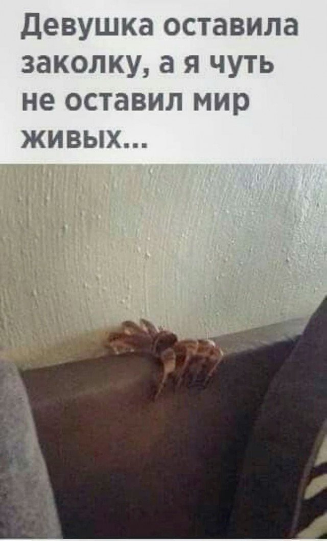 Завалялось тут случайно немного забавных картинок
