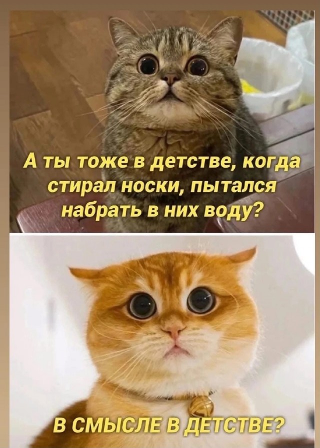 Завалялось тут случайно немного забавных картинок